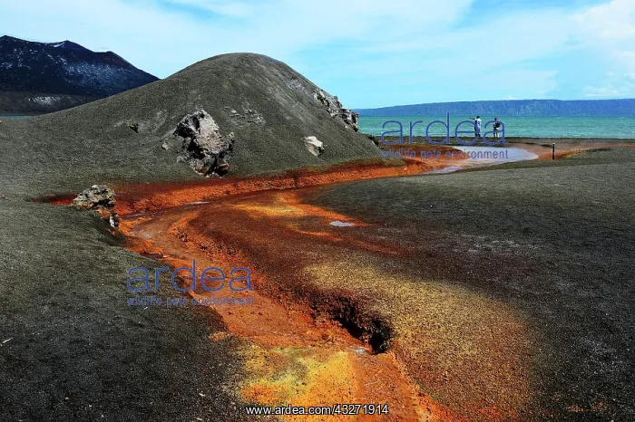  : Hot Springs at Mount Kombui and Mount Tavurvur