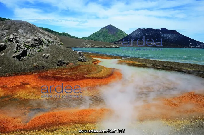 : Hot Springs at Mt. Kombui and Mount Tavurvur, Rabaul : Hot Springs at Mt. Kombui and Mount Tavurvur, Rabaul