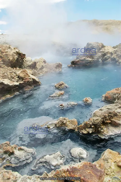 : Hot Thermal pools near Lake Manasarovars : Hot Thermal pools near Lake Manasarovars