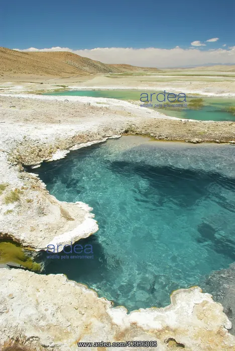 : Hot Thermal pools near Lake Manasarovars : Hot Thermal pools near Lake Manasarovars