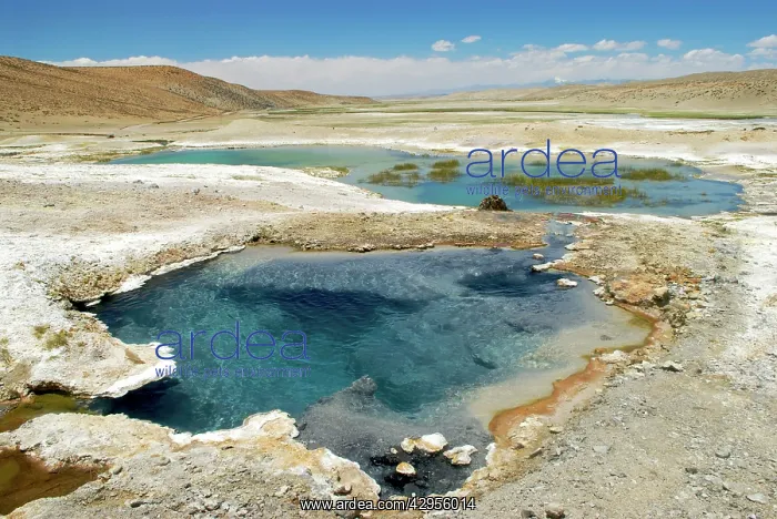 : Hot Thermal pools near Lake Manasarovars : Hot Thermal pools near Lake Manasarovars