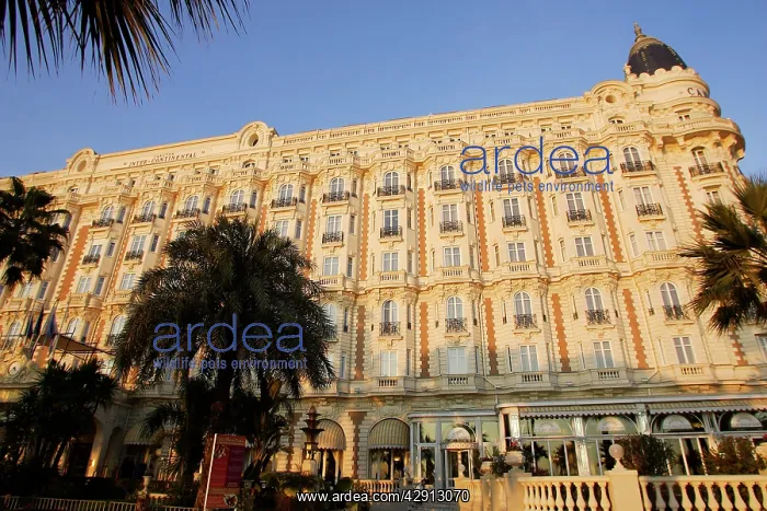  : Hotel Carlton, Nice, France