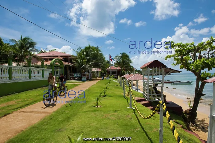  : Hotel grounds by the sea, Little Corn Island, Caribbean