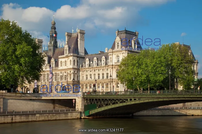 : Hotel de Ville Town Hall, along the banks : Hotel de Ville Town Hall, along the banks