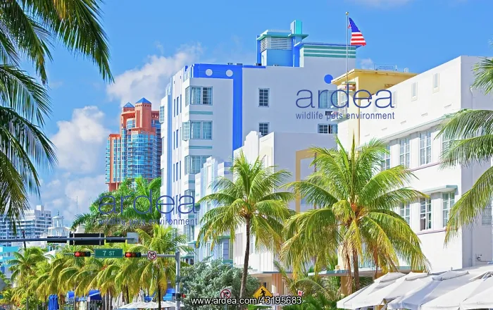 : Hotels, Ocean Drive, South Beach, Miami, Florida : Hotels, Ocean Drive, South Beach, Miami, Florida