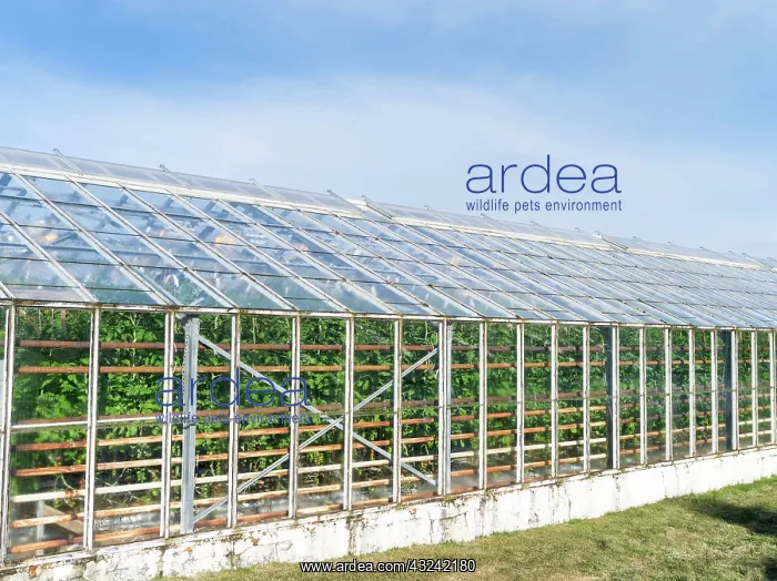 : Hothouses, greenhouses in Hveragerdi in : Hothouses, greenhouses in Hveragerdi in