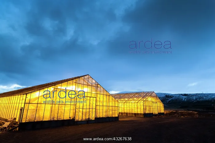  : Hothouses, greenhouses in Hveragerdi in