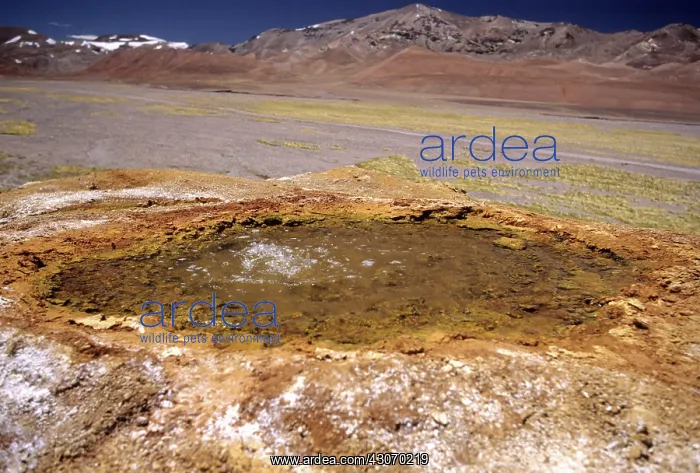 : Hotspring and sinter cone, Andes, Argentina : Hotspring and sinter cone, Andes, Argentina
