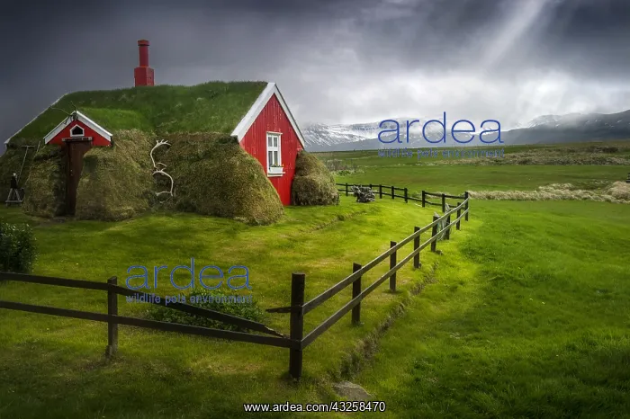 : House with broken fence, Borgarfjordur, Iceland : House with broken fence, Borgarfjordur, Iceland