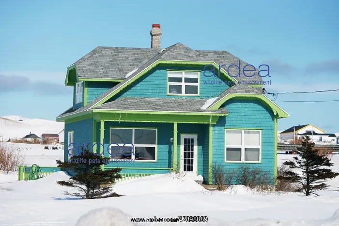 : House in Cap aux Meules : House in Cap aux Meules