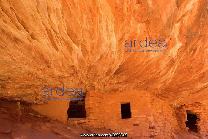  : House on Fire Ruin - ancient puebluan dwelling