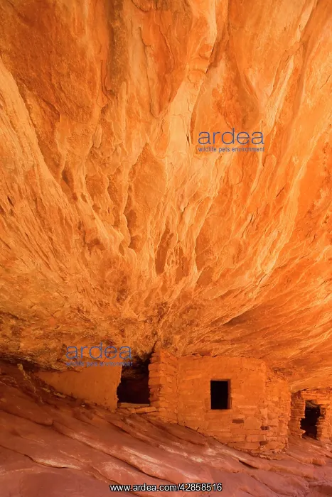 : House on Fire Ruin - ancient puebluan dwelling : House on Fire Ruin - ancient puebluan dwelling