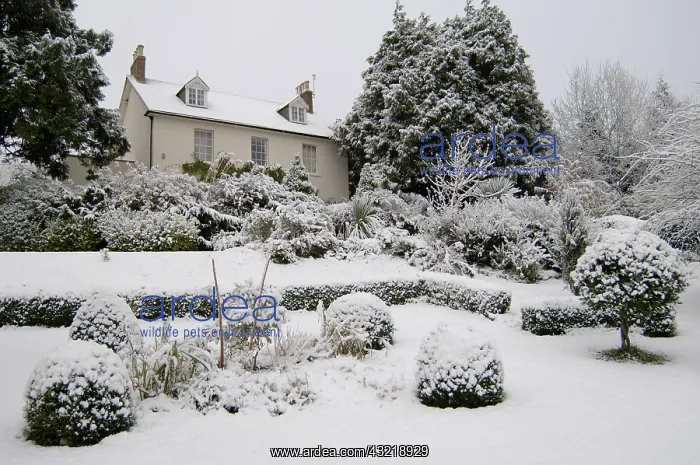 : House and garden in snow