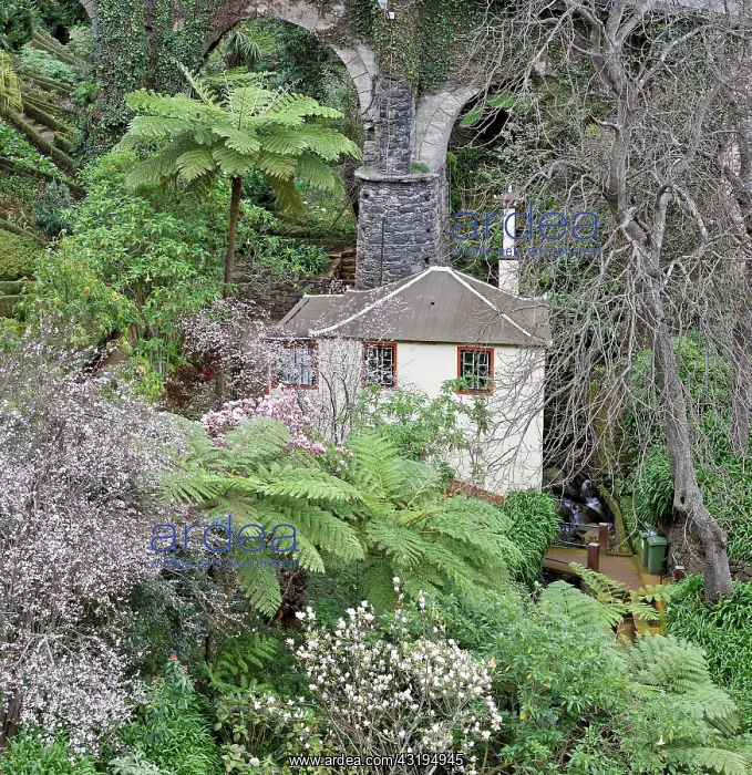 : A house in the middle of a small public park, Monte : A house in the middle of a small public park, Monte