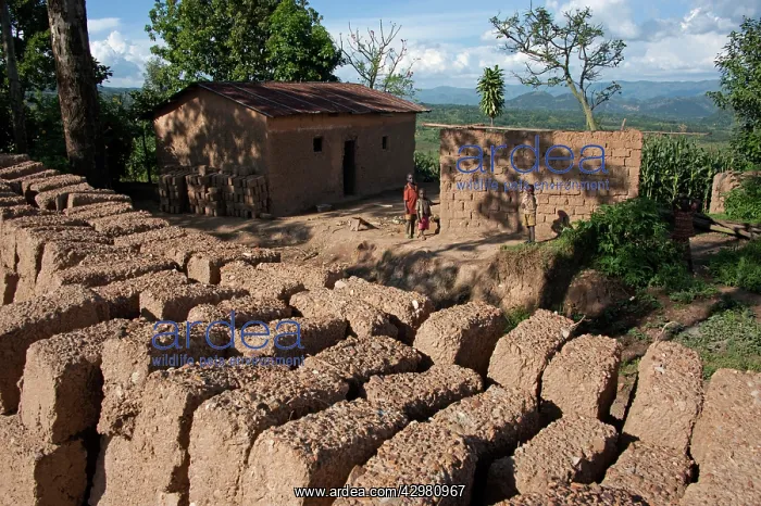 : House - with mud bricks : House - with mud bricks