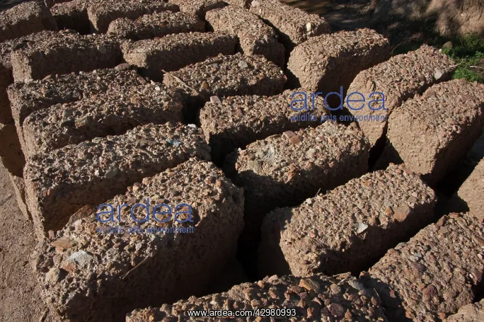 : House - with mud bricks : House - with mud bricks