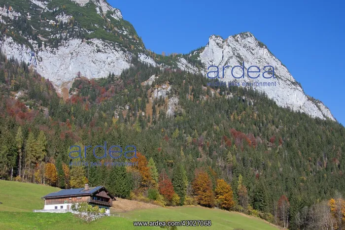 : House near Hintersee at Ramsau Berchtesgadener : House near Hintersee at Ramsau Berchtesgadener