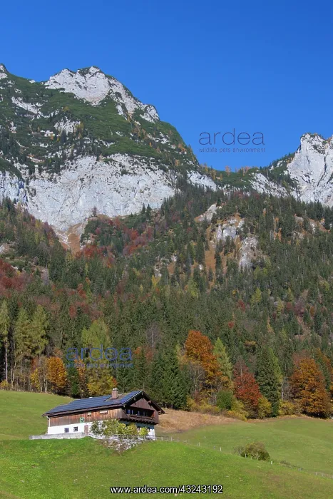 : House near Hintersee at Ramsau Berchtesgadener : House near Hintersee at Ramsau Berchtesgadener