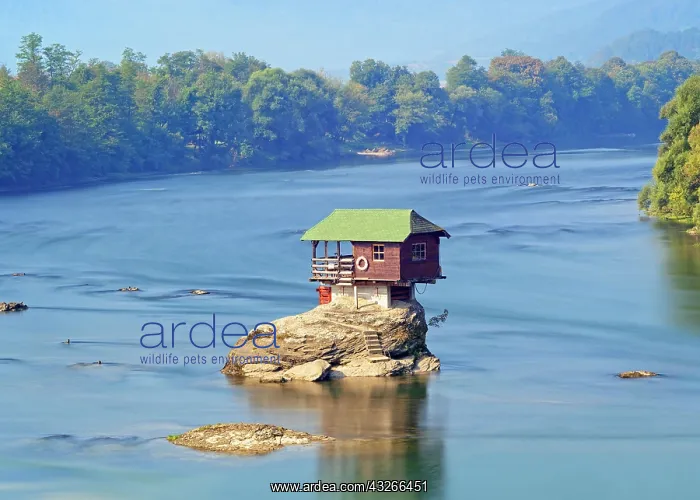 : House on the River Drina, Bajina Basta, Serbia : House on the River Drina, Bajina Basta, Serbia