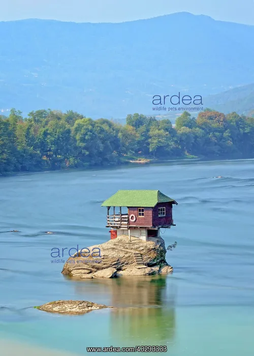 : House on the River Drina, Bajina Basta, Serbia : House on the River Drina, Bajina Basta, Serbia