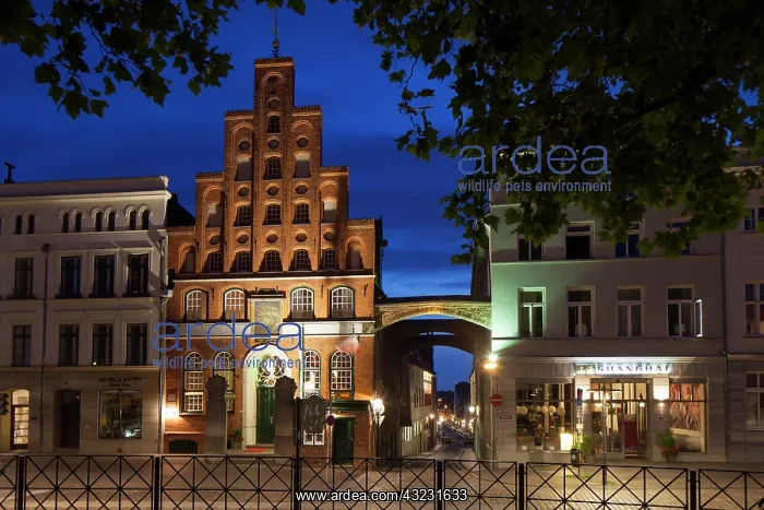 : House of the Schiffergesellschaft at night Luebeck : House of the Schiffergesellschaft at night Luebeck