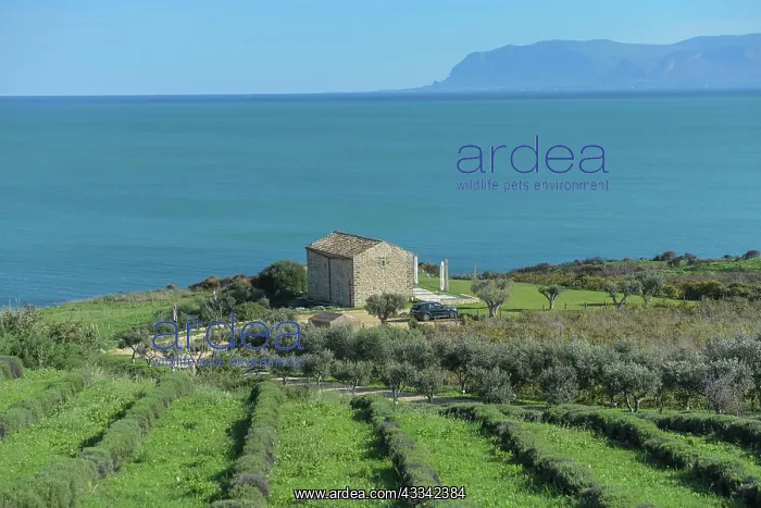 : House by the sea near Scopello, Sicily, Italy, Europe : House by the sea near Scopello, Sicily, Italy, Europe