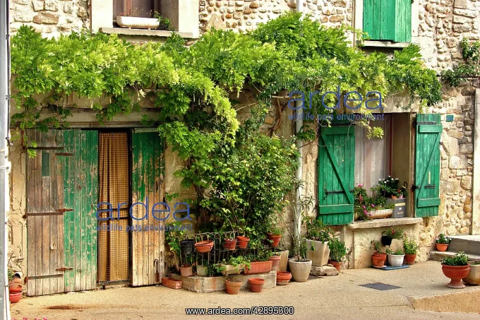 : House - Visan - Provence - France : House - Visan - Provence - France