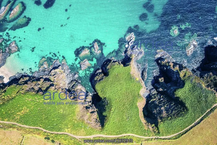 : Top Down over Housel Bay Cliffs from a drone, Lizard : Top Down over Housel Bay Cliffs from a drone, Lizard