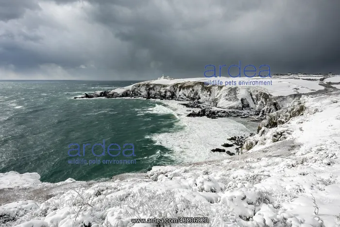 : Housel Bay - Lizard - Snow - Cornwall - UK : Housel Bay - Lizard - Snow - Cornwall - UK