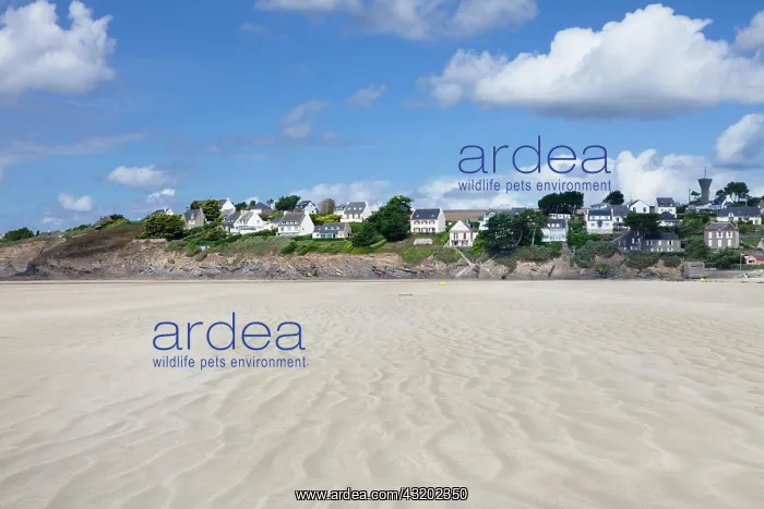 : Houses on the beach, Pentrez Plage, D&, x9c21;rtement