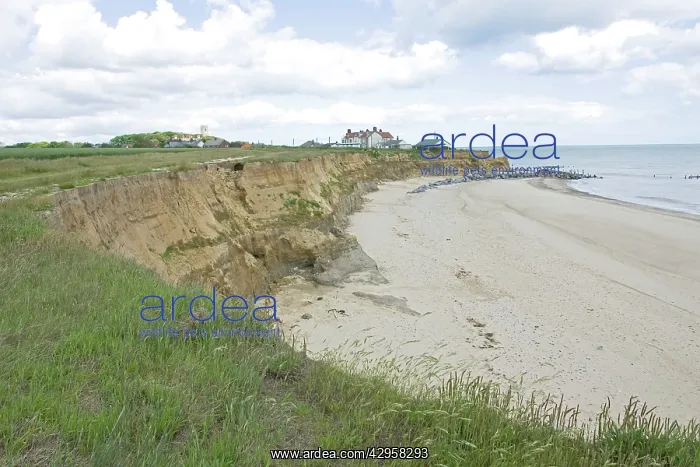 : Houses on edge of severely eroded cliffs : Houses on edge of severely eroded cliffs