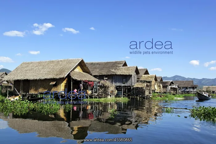 : Houses and huts at Inle Lake, Shan State, Myanmar, B : Houses and huts at Inle Lake, Shan State, Myanmar, B