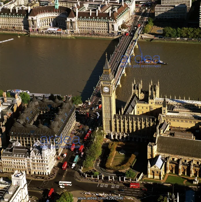 : Houses of Parliament (the Palace of Westminster) : Houses of Parliament (the Palace of Westminster)