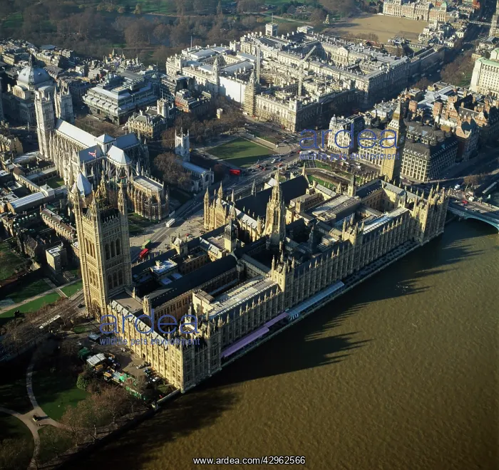 : Houses of Parliament (the Palace of Westminster) : Houses of Parliament (the Palace of Westminster)