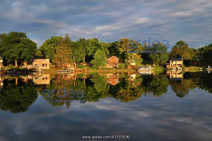 : Houses reflected in the lake, Okauchee Lake, Wisconsin : Houses reflected in the lake, Okauchee Lake, Wisconsin