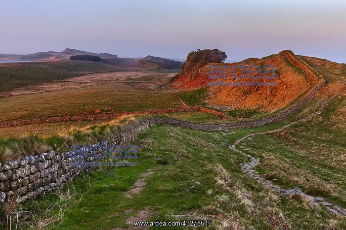 : Housesteads Crags - a section of the roman defence : Housesteads Crags - a section of the roman defence