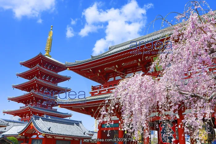 : Hozomon, the inner gate, and the five storey : Hozomon, the inner gate, and the five storey