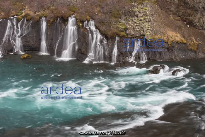 : Hraunfossar is a series of waterfalls of the river : Hraunfossar is a series of waterfalls of the river
