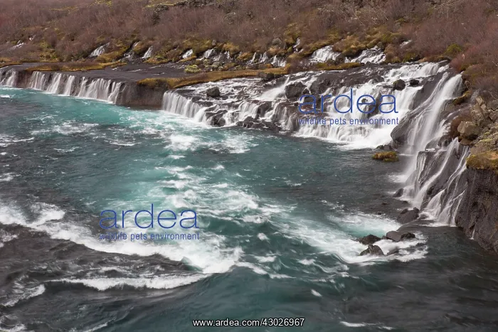 : Hraunfossar is a series of waterfalls of the river : Hraunfossar is a series of waterfalls of the river