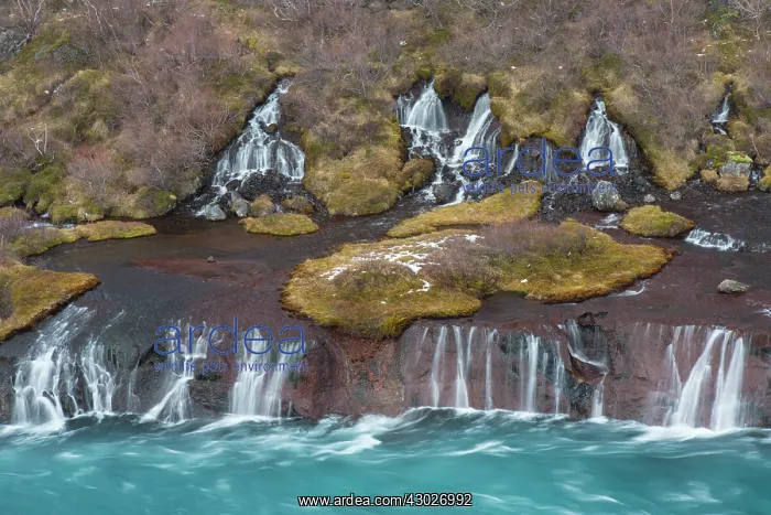 : Hraunfossar is a series of waterfalls of the river : Hraunfossar is a series of waterfalls of the river