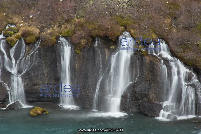 : Hraunfossar is a series of waterfalls of the river : Hraunfossar is a series of waterfalls of the river