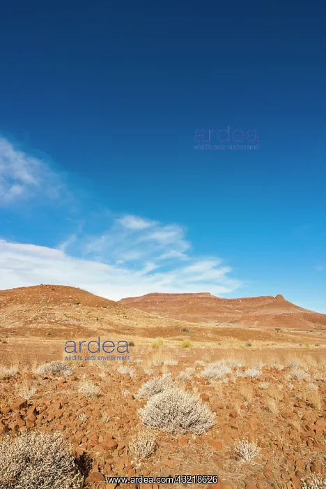  : Huab River Valley area, Damaraland, Kunene