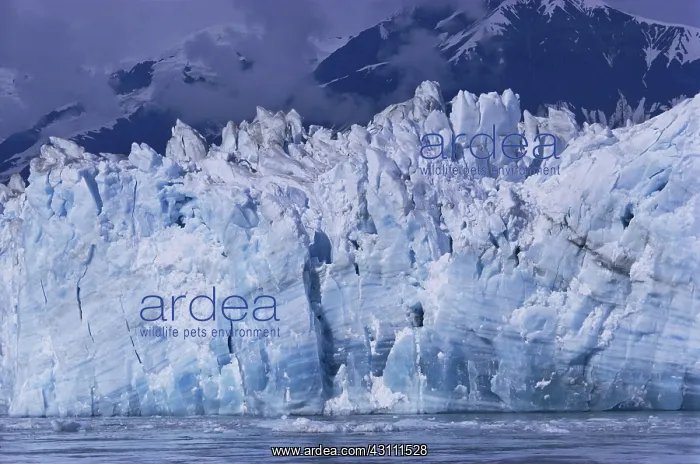 : Hubbard Glacier : Hubbard Glacier