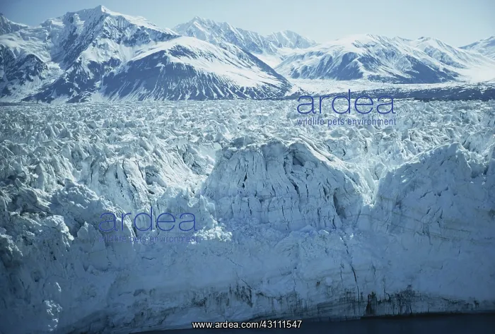 : Hubbard Glacier : Hubbard Glacier