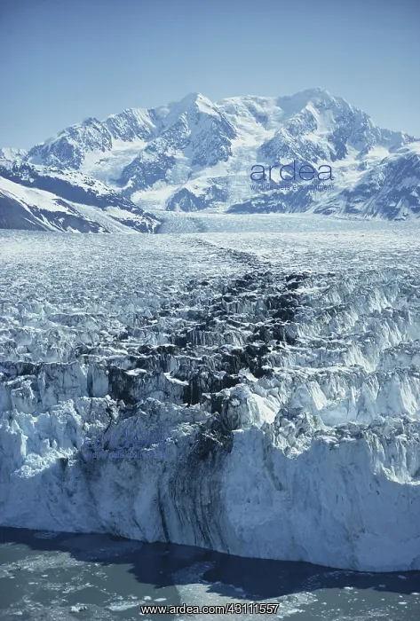: Hubbard Glacier : Hubbard Glacier