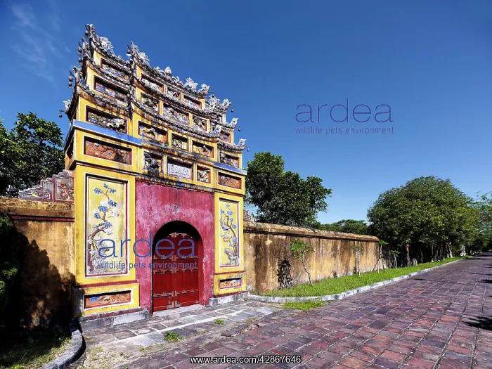 : Hue Citadel: Imperial city Vietnam : Hue Citadel: Imperial city Vietnam