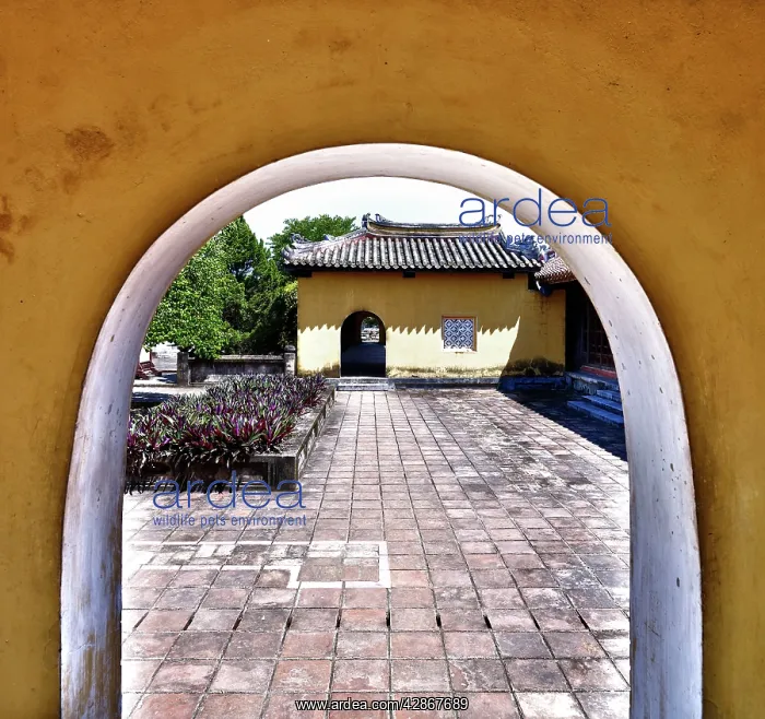 : Hue Citadel: Imperial city Vietnam : Hue Citadel: Imperial city Vietnam