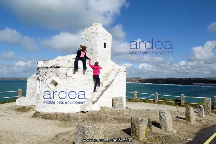: Huer's Hut - Newquay : Huer's Hut - Newquay