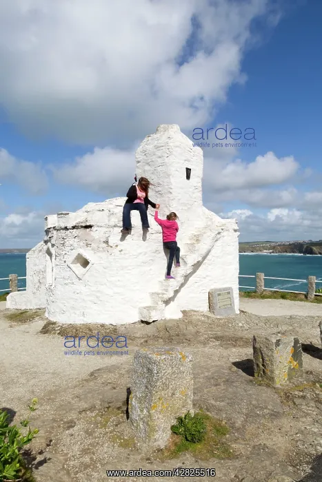  : Huer's Hut - Newquay