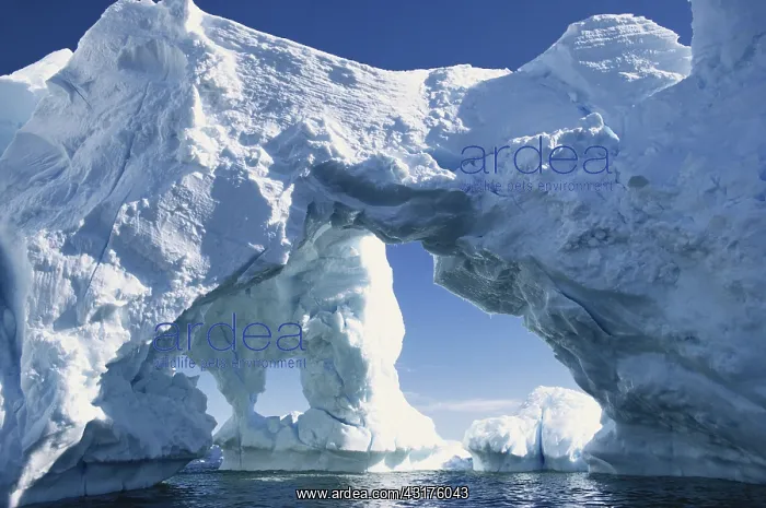 : Huge Antarctic Iceberg : Huge Antarctic Iceberg